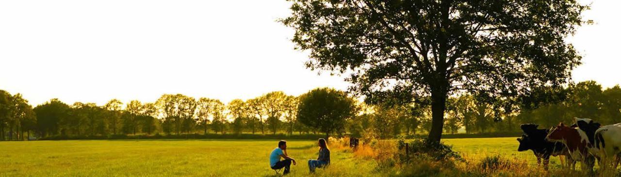 Vakantiewoning Dinkelhofje Met Gratis Linnen เดเนกัมป์ ภายนอก รูปภาพ